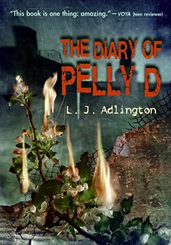 The diary of Pelly D
