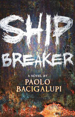 Ship breaker