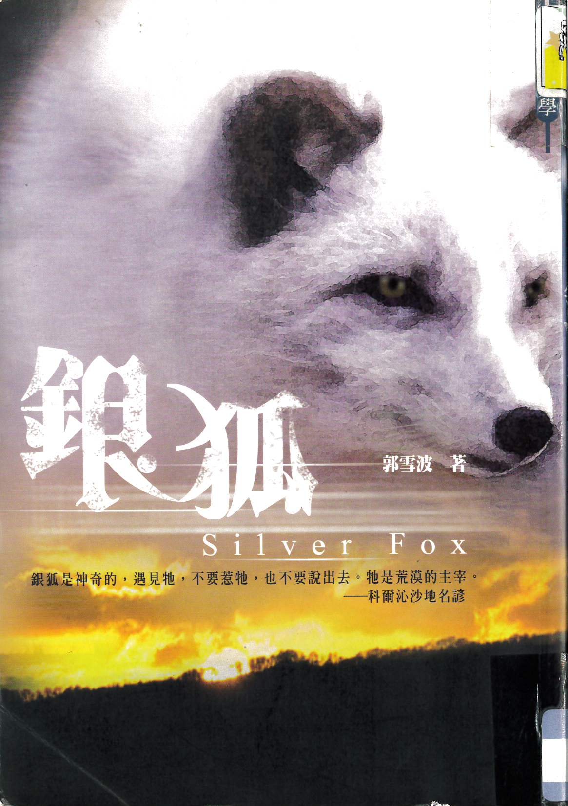 銀狐 : Silver fox