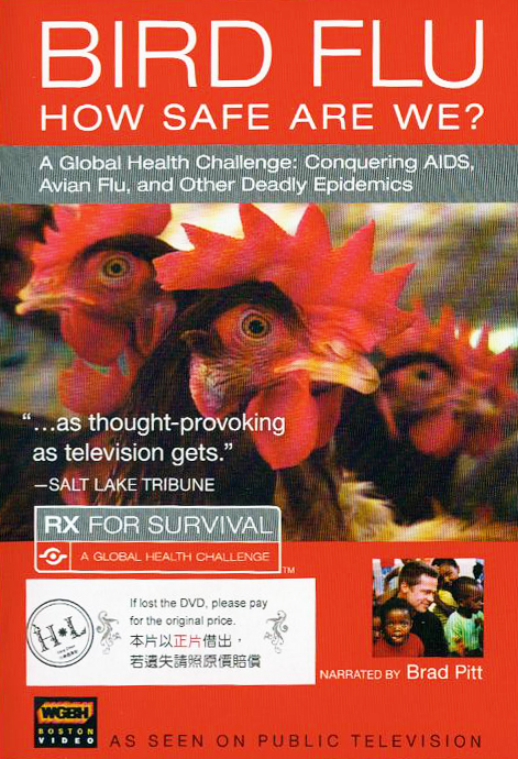 Bird flu : how safe are we?