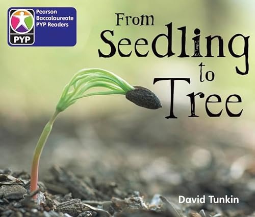 From seedling to tree