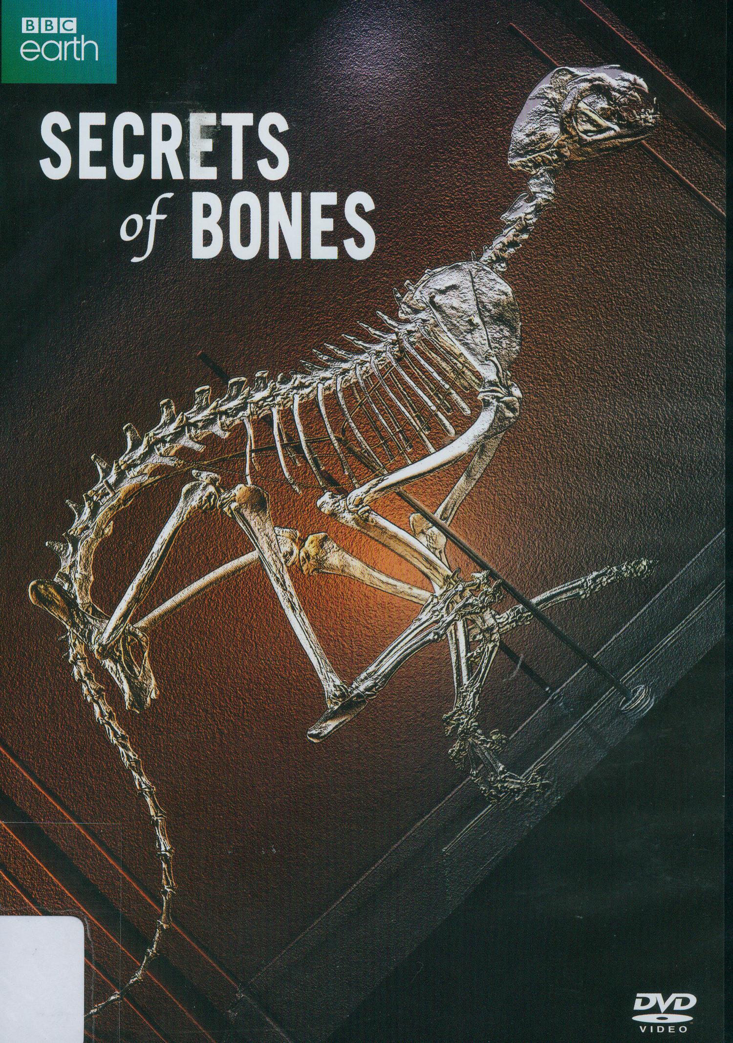 骨骼的秘密 : Secrets of bones