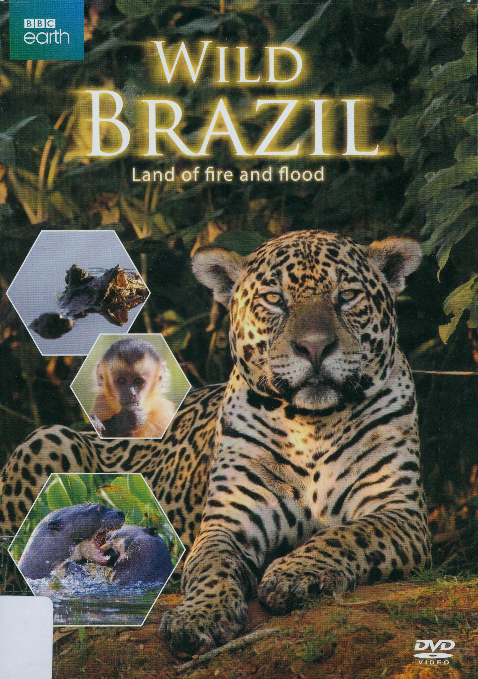 狂野巴西[2][普遍級:紀錄片] : Wild Brazil[2]