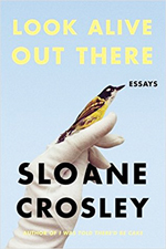 Look alive out there : essays
