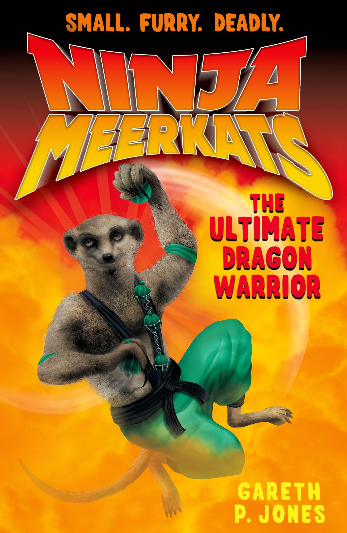 The ultimate dragon warrior