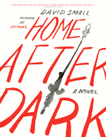 Home after dark : a novel