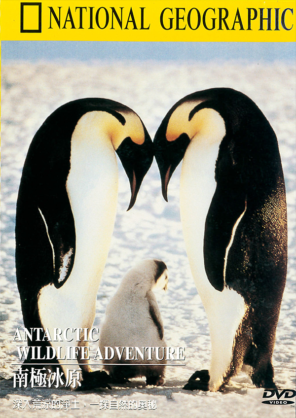 南極冰原 : Antarctic wildlife adventure