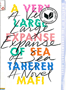 A very large expanse of sea