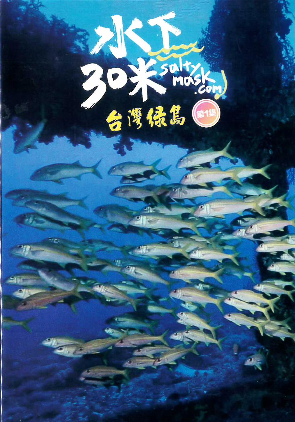 水下30米:台灣綠島[普遍級:紀錄片] : 30 Meters Underwater : Green Island, Taiwan