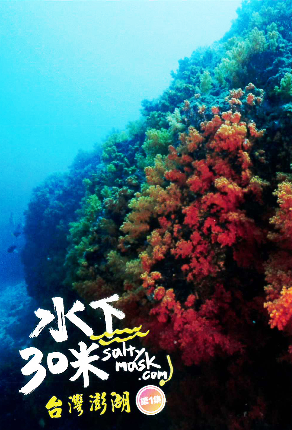 水下30米:台灣澎湖[普遍級:紀錄片] : 30 Meters Underwater : Penghu, Taiwan