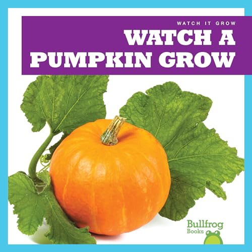 Watch a pumpkin grow