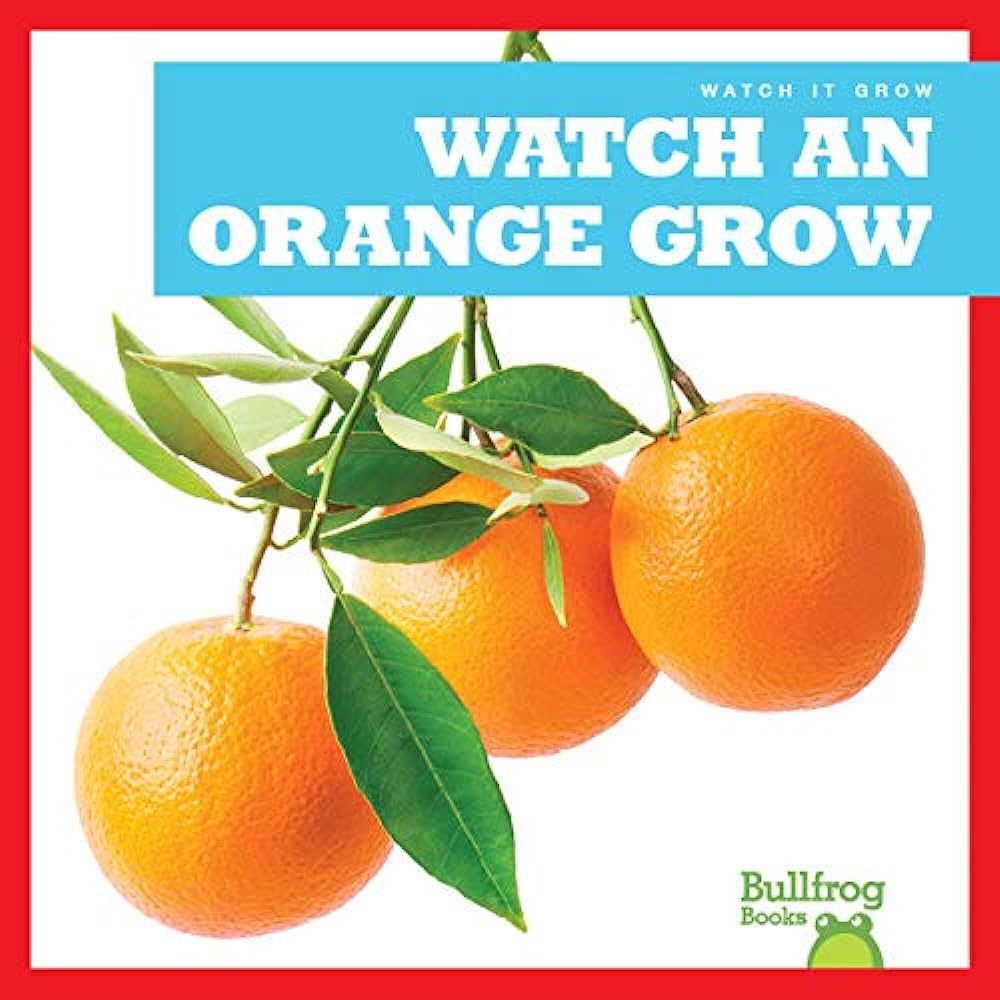 Watch an orange grow