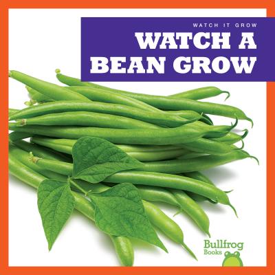 Watch a bean grow
