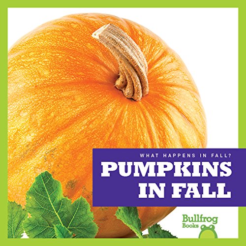 Pumpkins in fall