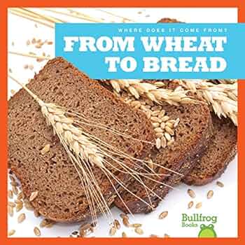From wheat to bread