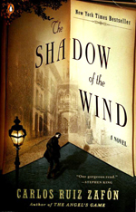 The shadow of the wind