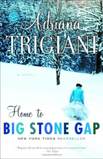 Home to big stone gap  : a novel