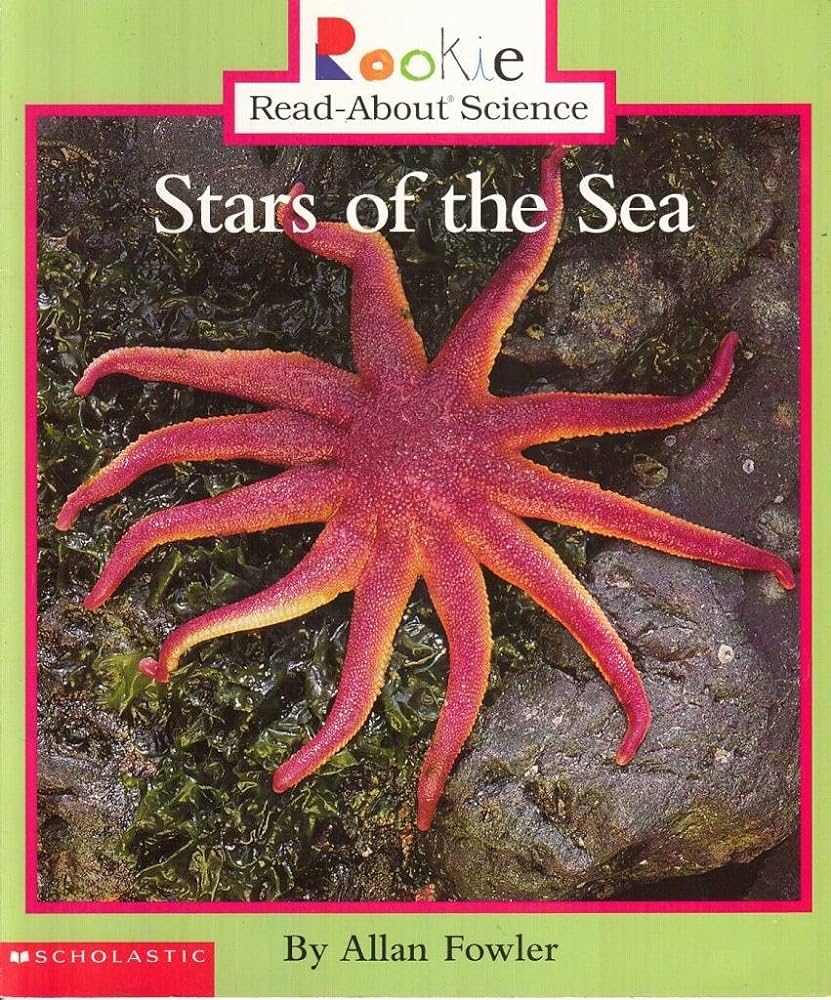 Stars Of The Sea