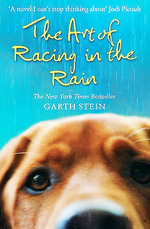The art of racing in the rain  : a novel