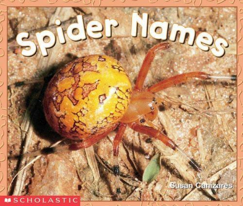 Spider Names