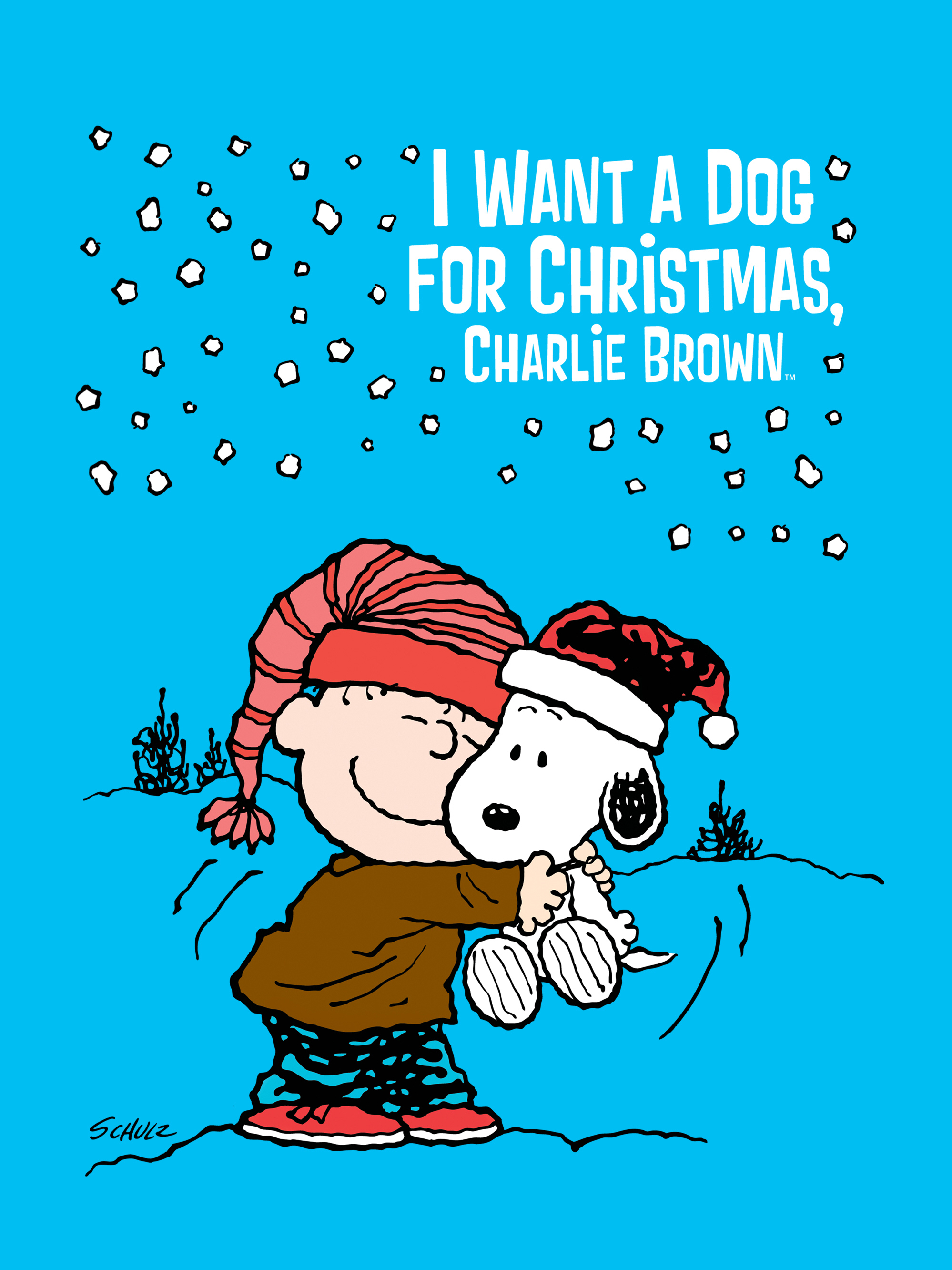 I want a dog for Christmas, Charlie Brown!
