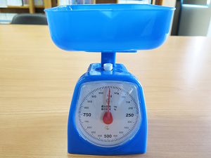 一公斤秤:塑膠磅 : Scales : 1 kg