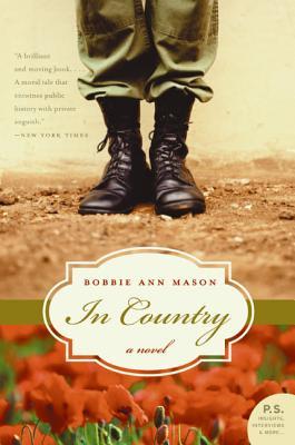 In country  : a novel