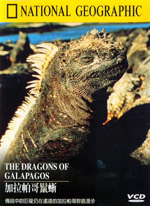 加拉帕割鬣蜥 : The Dragons of Galapagos  The Dragons of Galapagos =