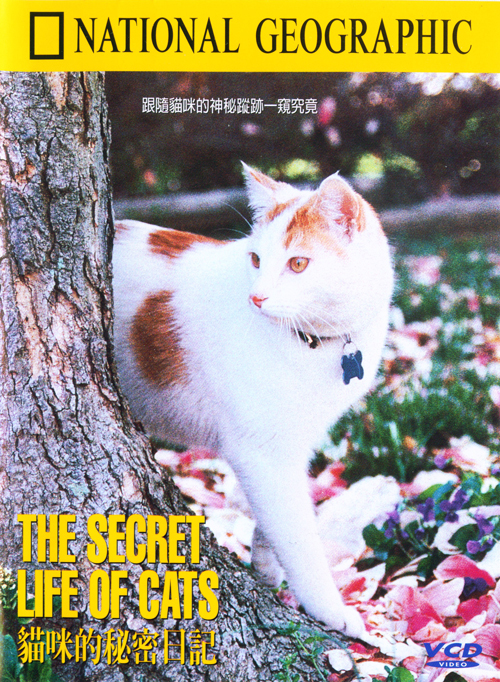 貓咪的秘密日記 : The Secret Life of Cats  The Secret Life of Cats =