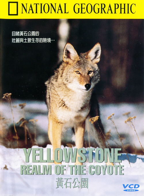 黃石公園 : Yellowstone Realm of the Coyote  Yellowstone Realm of the Coyote =