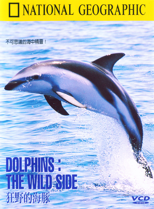 狂野的海豚 : DOLPHINS:THE WILD SIDE  DOLPHINS:THE WILD SIDE =