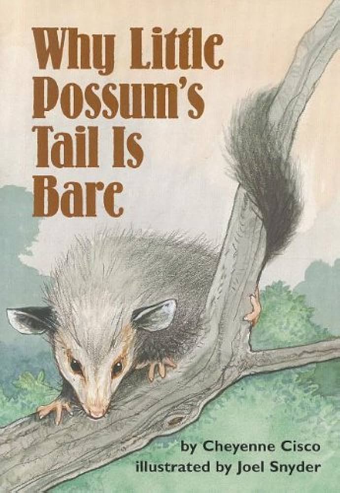 Why little possum