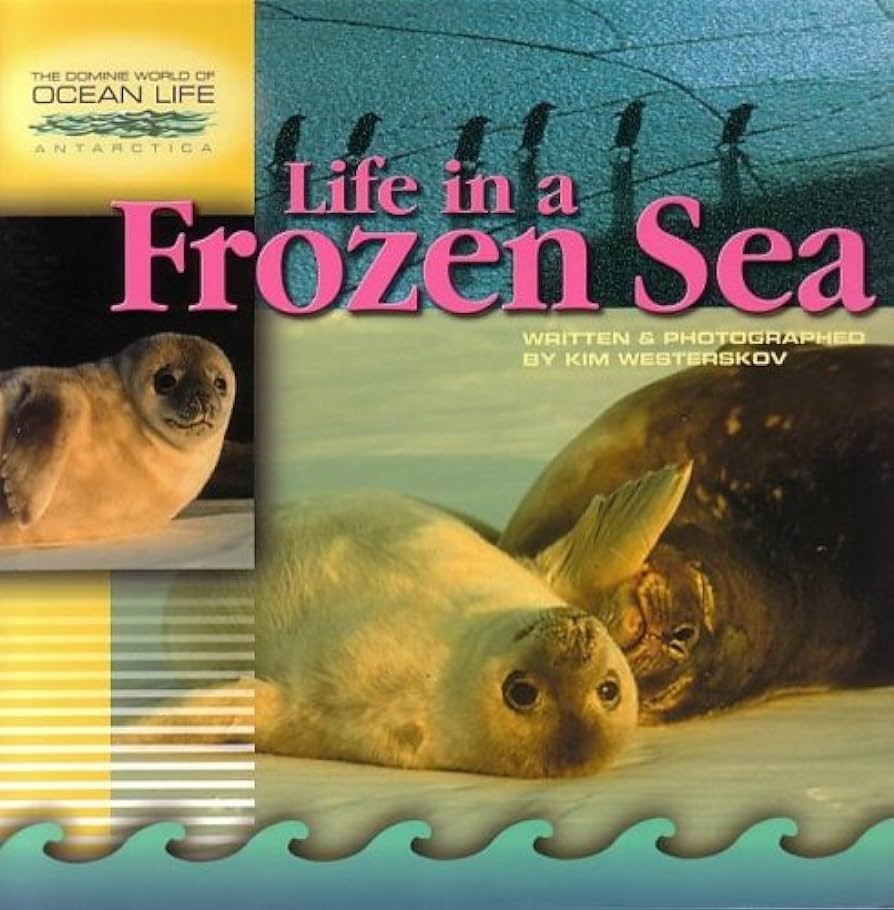 Life in a frozen sea