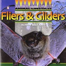 Fliers & gliders
