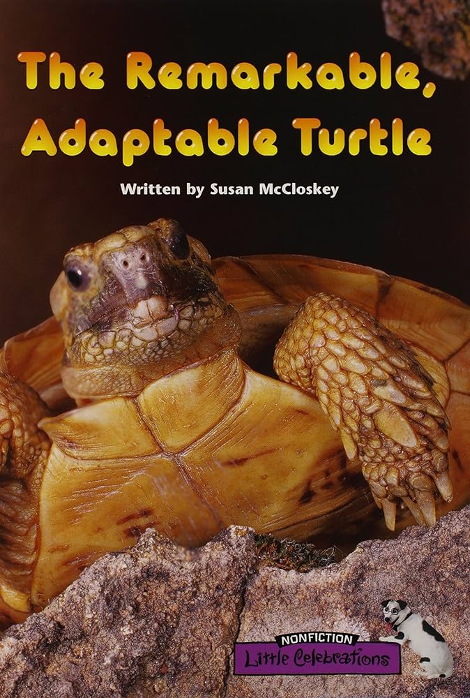 The remarkable, adaptable turtle