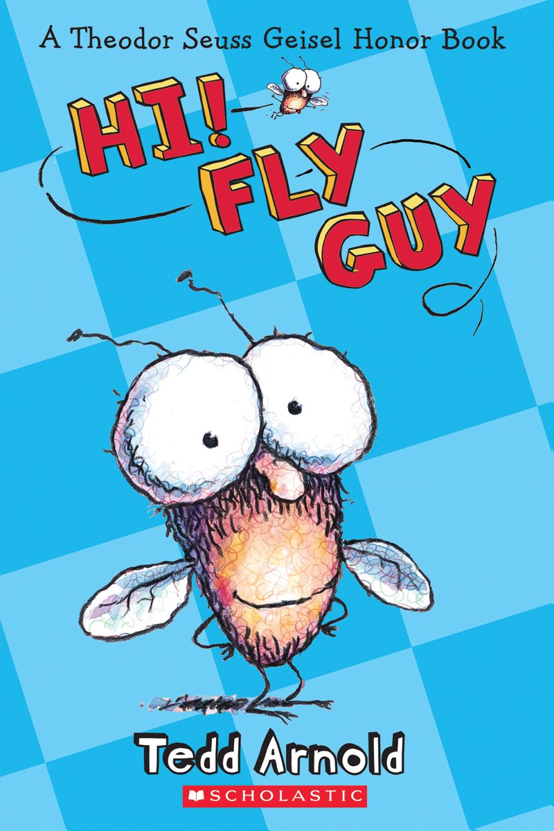 Hi!Fly Guy
