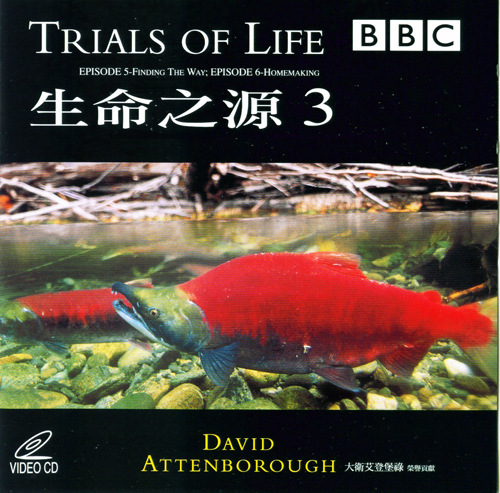生命之源 3  = : Trials Of Life: Episodes 5 & 6  = : 2000