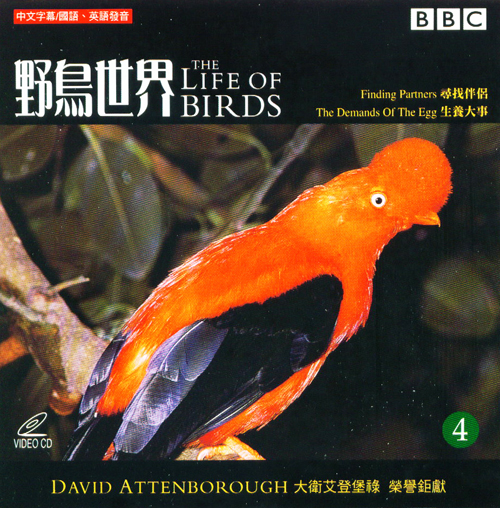 野鳥世界 4  = : The Life Of Birds 4 = : 2003
