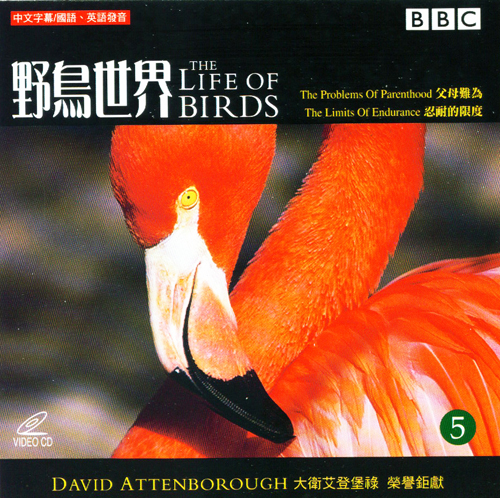 野鳥世界 5  = : The Life Of Birds 5 = : 2003