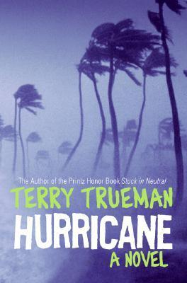 Hurricane  : a novel