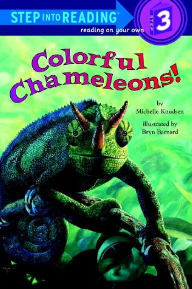 Colorful Chameleons