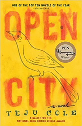 Open city  : a novel