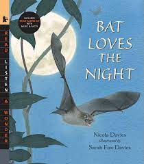 Bat loves the night