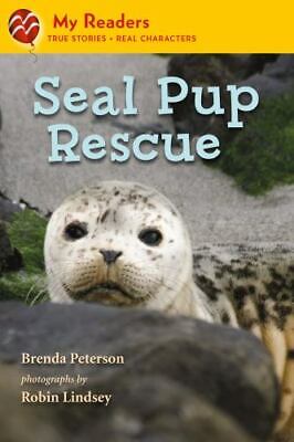 Seal pup rescue