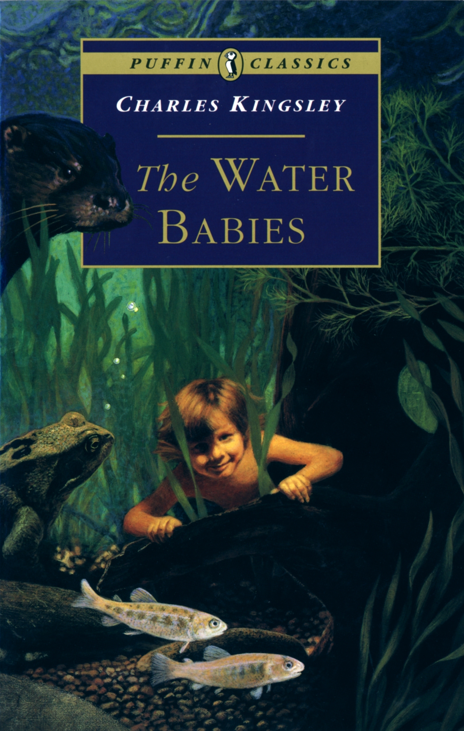 The Water Babies  : A Fairy Tale For A Land-Baby