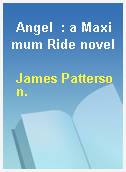 Angel  : a Maximum Ride novel