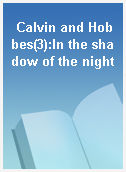 Calvin and Hobbes(3):In the shadow of the night