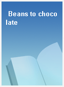 Beans to chocolate