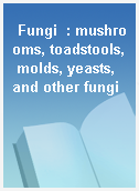 Fungi  : mushrooms, toadstools, molds, yeasts, and other fungi