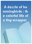 A dazzle of hummingbirds : the colorful life of a tiny scrapper